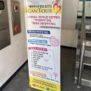 캔투어여행사 이미지
