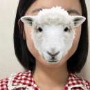 성산미용실 | 연남동 가좌역 성산 미용실 어네프헤어 UNaFF 매직 후기 남자 커트 홍대미용실 머리잘하는곳 추천