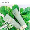 피누스스토어 일류 이미지