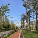 용산도서관 | 대전 용산도서관 리얼 후기 | 대전 유성구 도서관 | 대전 관평동 도서관 후기