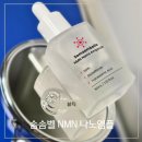 나노시대 | 속탄력 채우는 안티에이징 솜솜벨 NMN 나노앰플 솔직리뷰