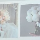 동그랗개 이미지