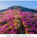 「여수 영취산 흥국사 일원」 명승 지정 - 영취산의 기암괴석, 진달래 군락 어우러진 경관과 호국불교 정신 깃든 흥국사가 조화 이룬 자 이미지