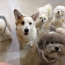 멍테소리 이미지