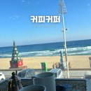 강릉제일솔라 1호 | 강릉 안목 카페 추천｜커피커퍼 안목1호 오션뷰 내돈내산 후기