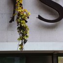 문소아과의원 이미지