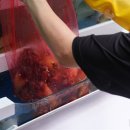 을지로연탄구이 - 김포시 인향로24번길 145 | 을지로연탄구이