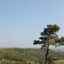 초록산 산림욕장 1 이미지