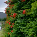 대천나무내음펜션 이미지