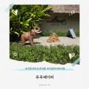 코끼리유치원 | 치앙마이아이랑 가볼만한곳 푸푸페이퍼 , 코끼리똥 종이만들기