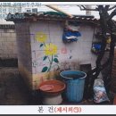 내곡동281 이미지