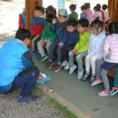 금부초병설유치원 이미지