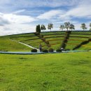 조광현 국제종합행정사 사무소 이미지