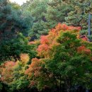 서귀포시 노인복지회관 이미지