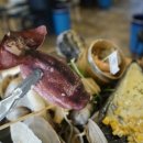 조개일번지 이미지