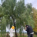 4563 | 강릉웨딩스냅 도주재 작가님과 함께한 촬영후기(+미유웨딩, 코티지플라워가든)