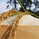 오대농장 이미지