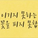 이루다 합기도 이미지