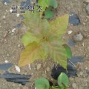 경화농장 이미지