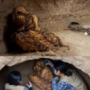 페루의 한 무덤에서 손으로 얼굴을 가리고 있는 신비한 미라가 발견되었습니다. 이미지
