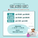 공항 동물병원 이미지