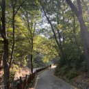 수락산 기차바위 (홈통바위) 가는법 원점회귀 코스 난이도 소요시간 준비물 장암역에서 출발