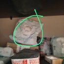 룩스굿(Looks Good) 이미지