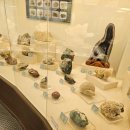 덕소자연사박물관 이미지