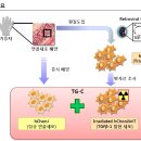 코오롱생명과학의 상승이유는??? 日 제약사에 인보사 5000억원 기술수출 이미지