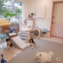 바둑이연구소 이미지