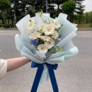 푸른생화 이미지