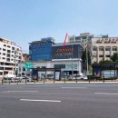 서울 베스트 동물병원 이미지