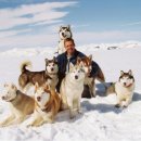 에이트 빌로우 (Eight Below, 2006) 이미지