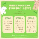 도그애견미용실 이미지