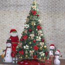 트리트리 이미지