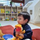 행꼬(행복한 꼬마 거북이) 이미지