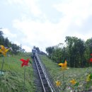 네버랜드테마펜션 | 무주태권도원과 구천동 네버랜드 송어마을~~