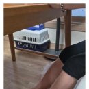 아이러브 독 이미지