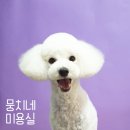 뭉치네 미용실 이미지