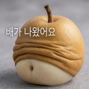 나주시보건소 | [임신] 임신 확인 후 바로 해야할 일 3가지(임신바우처 신청꿀팁,임산부보험,임산부보건소혜택)🍯