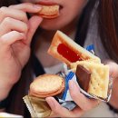 싸피엔스 짐 이미지