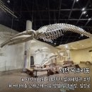 [서천] 아이와 국립해양생물자원관 씨큐리움&amp;바다마을 고래고래 이용 후기 (전기차충전소&amp;입장료)