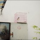 음율2003 이미지