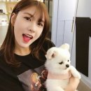 채은헤어 - 아산시 아산밸리중앙로 58-5 | 채은헤어