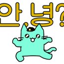 푸치케 이미지