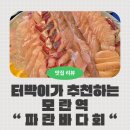 파란바다 | 성남 모란역 횟집 토박이가 추천하는 회 맛집 파란바다회