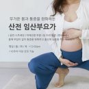 1092 | [ 수원 영통 신동 임산부 산전 요가 ] 자연과 닿은 곳에서 태교요가 | 산모요가 | 임산부요가추천...