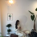 달다래 이미지