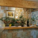 국토관리청 맞은편 이미지