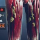 신진자전거